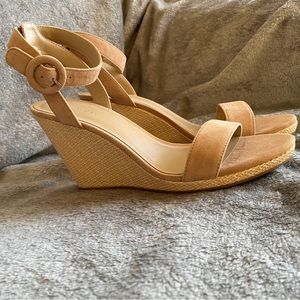 Ann Taylor Anna Suede Wedge Sandal
